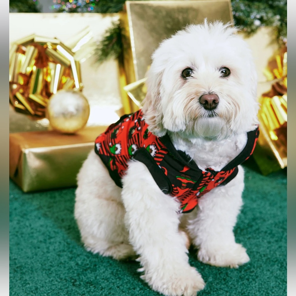Christmas Pup Gnome For The Holidays Dog Hoodie - Black/Red